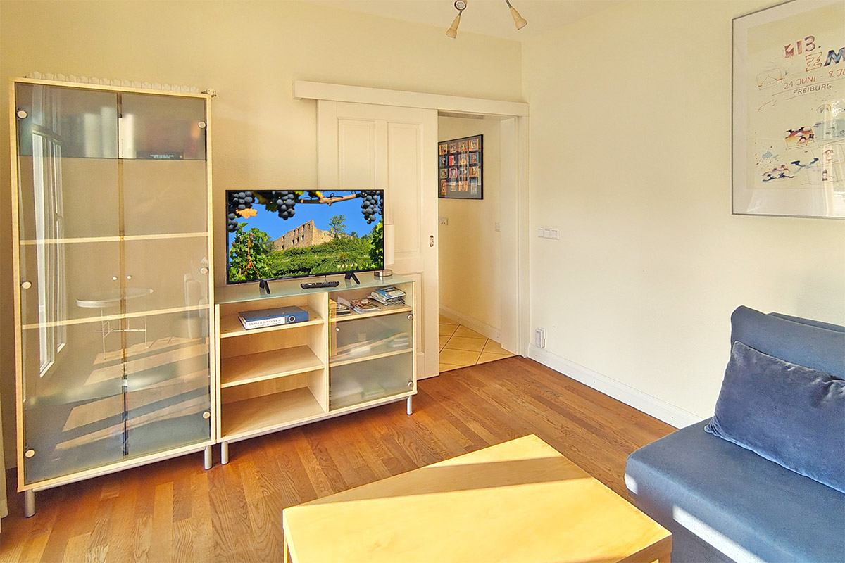 Wohnzimmer mit TV und Balkon